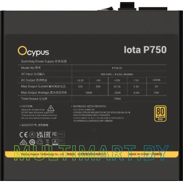 Блок питания Ocypus Iota P750 750W (Iota-P750-G1FFBK024X-EU) картинка 2